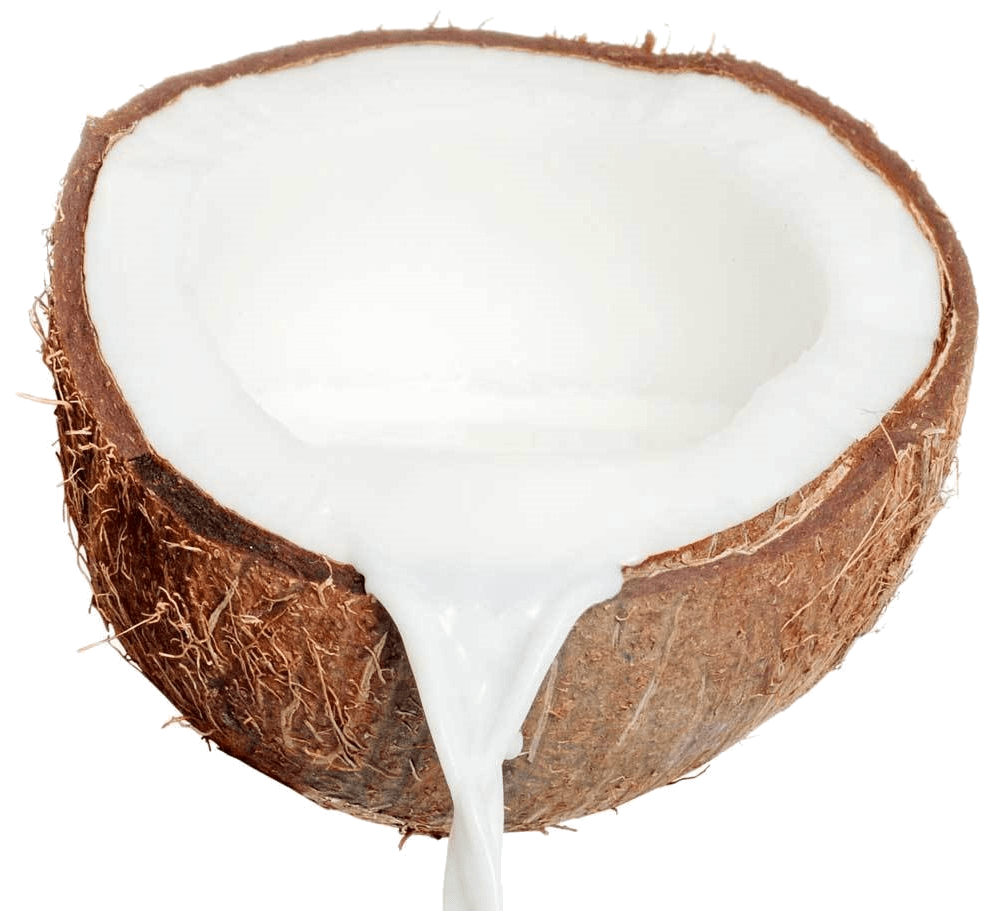 Détoxination Post-Henné : Lait de Coco | MA PLANETE BEAUTE